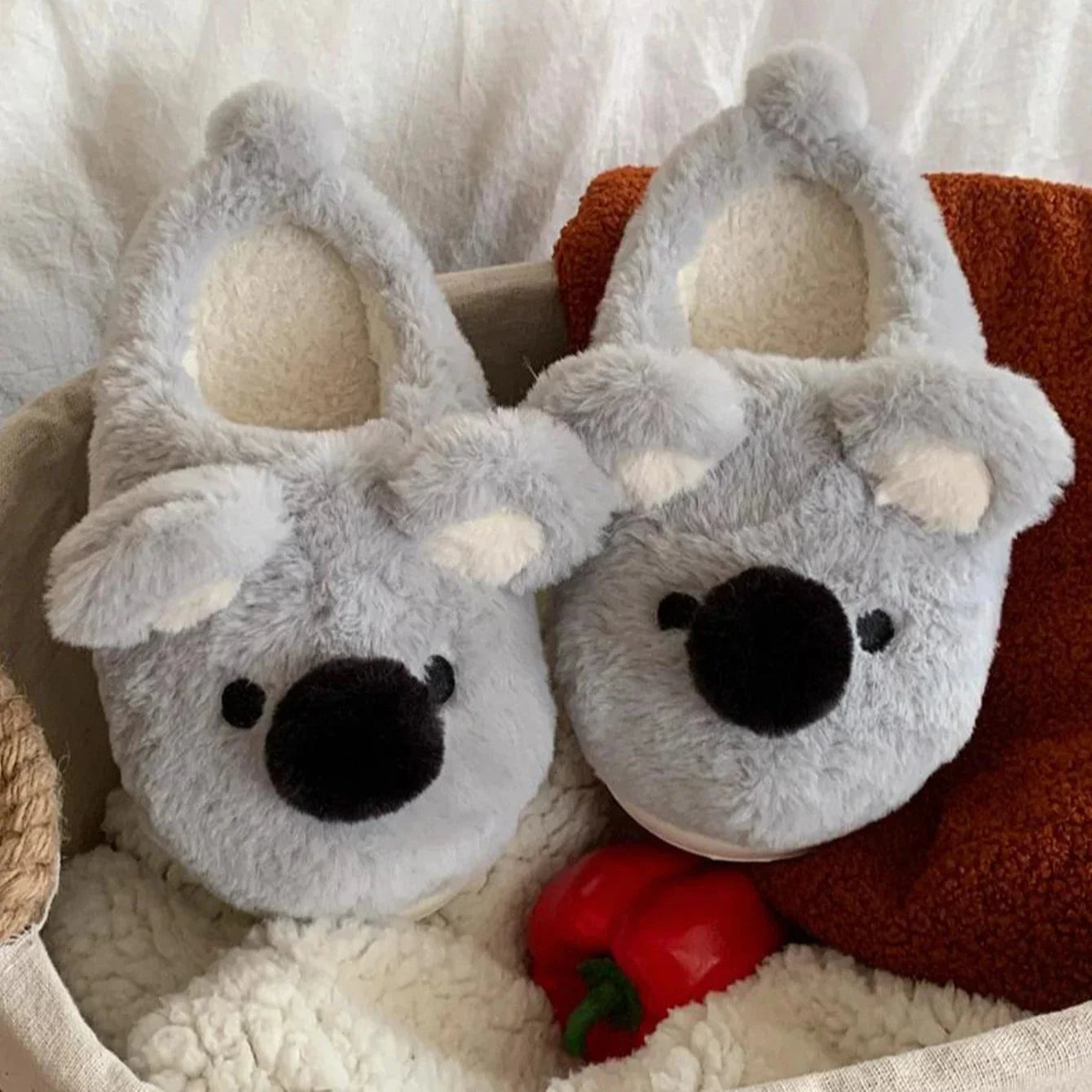 Koala Slippers