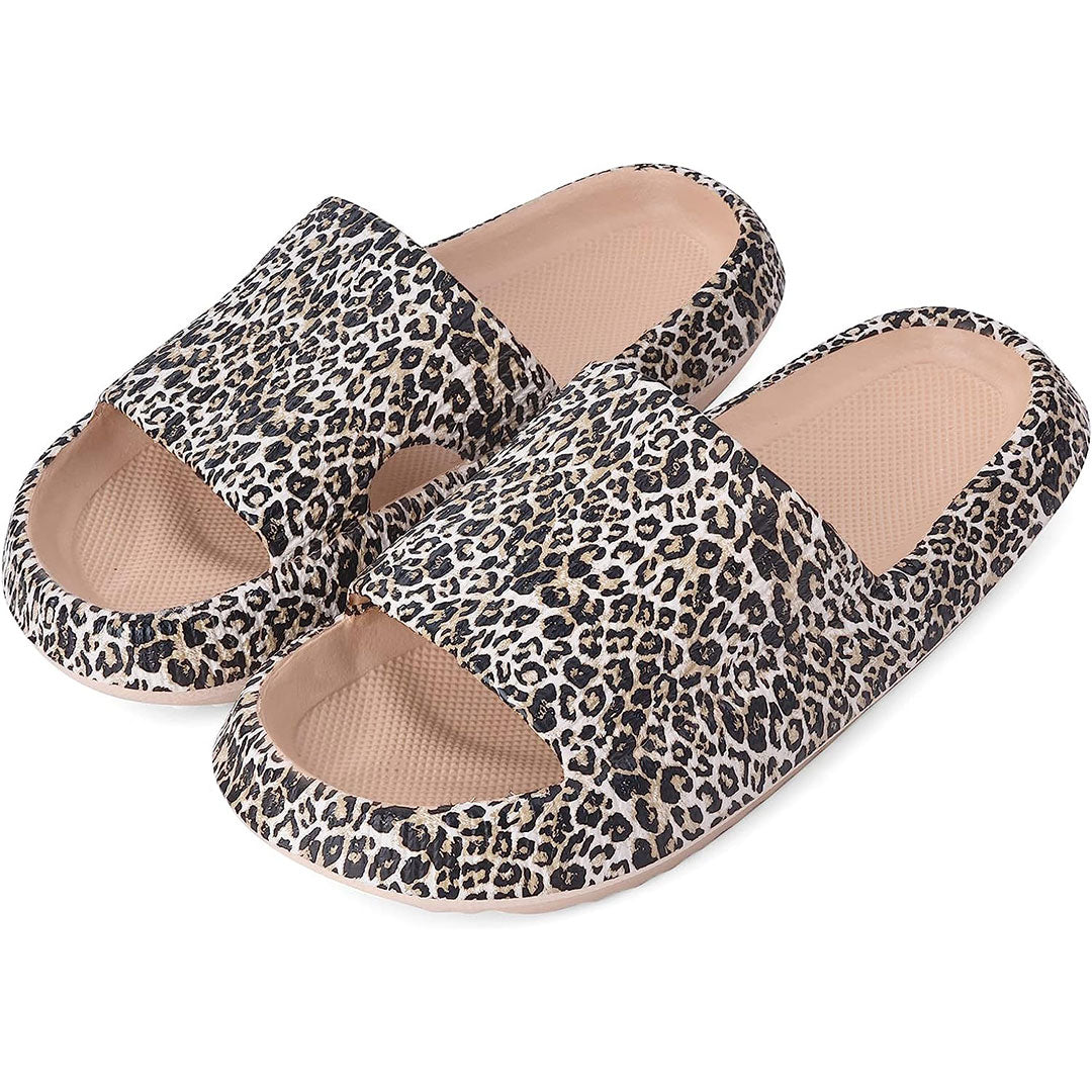 Leopard Cloud Slides