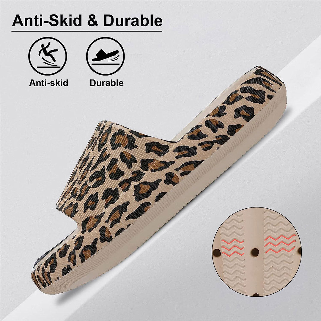 Leopard Cloud Slides