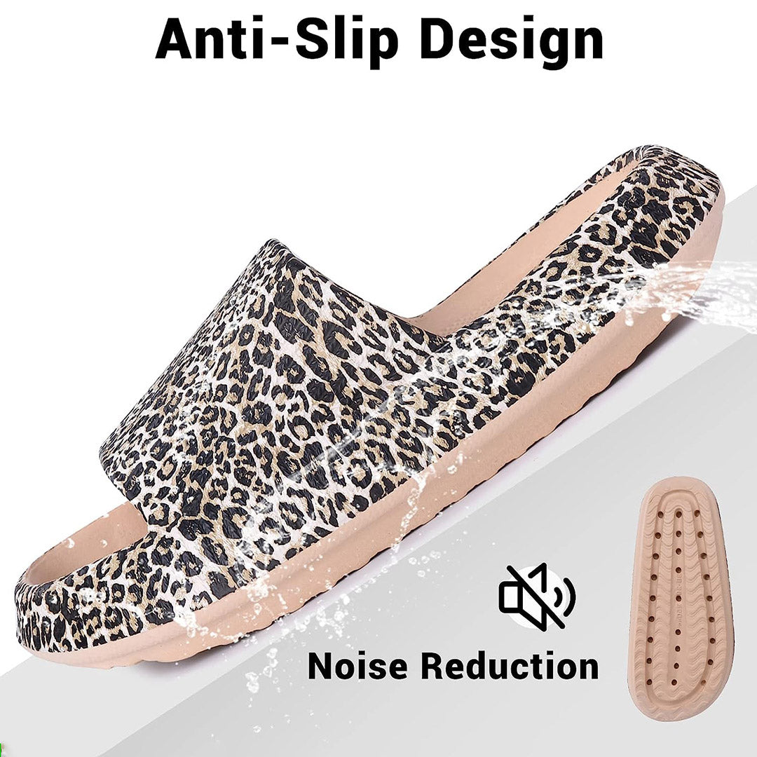Leopard Cloud Slides